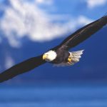 2. nedjelja po Božiću (III)